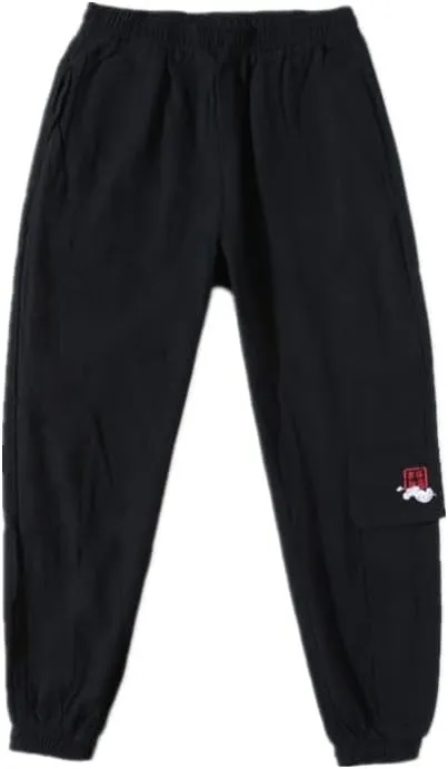 Chinese Style Creative Side Zipper Harem Pants, Black Relaxed Pants, Harajuku Clothing Sport Trousers